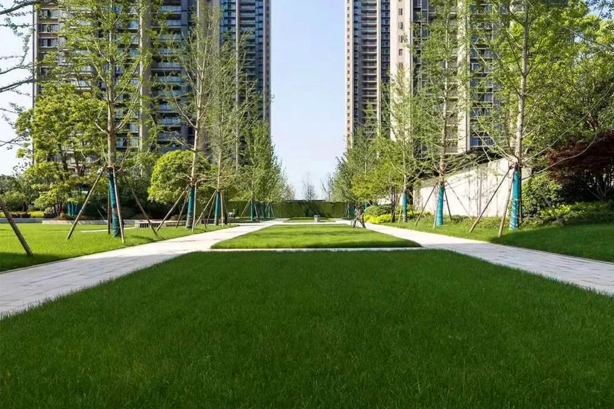 南昌新力东园全区 - 图片 2