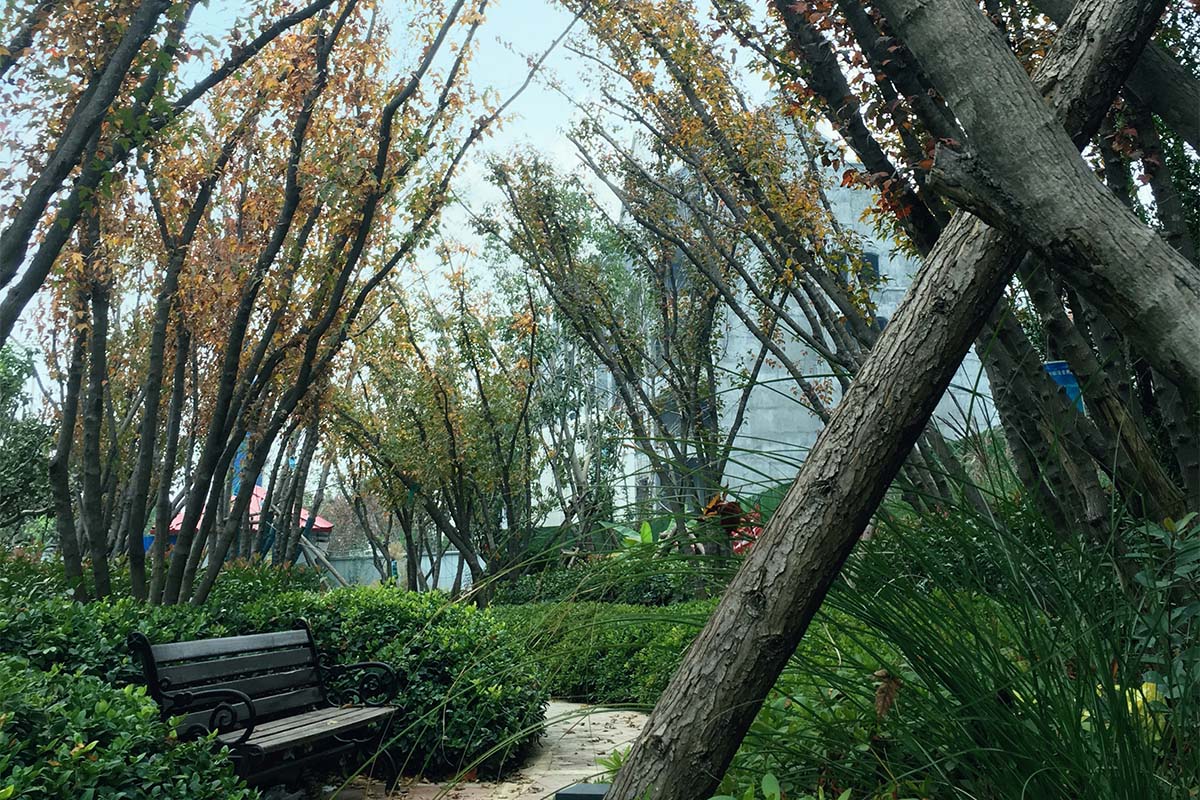 鹤壁兴荣湾 - 图片 4