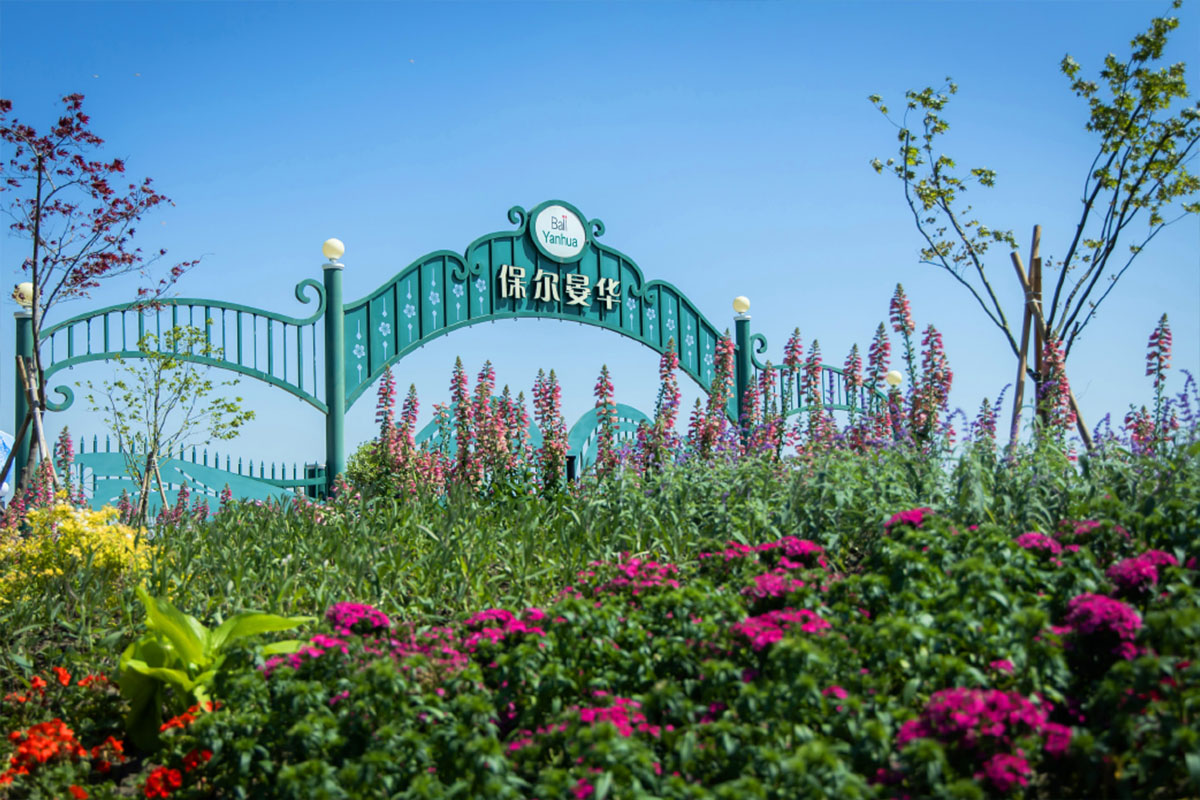 保尔晏华首届绣球节活动 - 图片 2