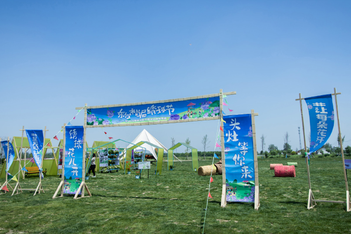 保尔晏华首届绣球节活动 - 图片 3