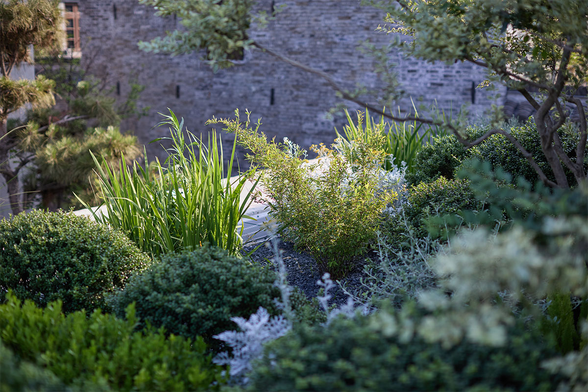 扬州有熊酒店屋顶花园 - 图片 4