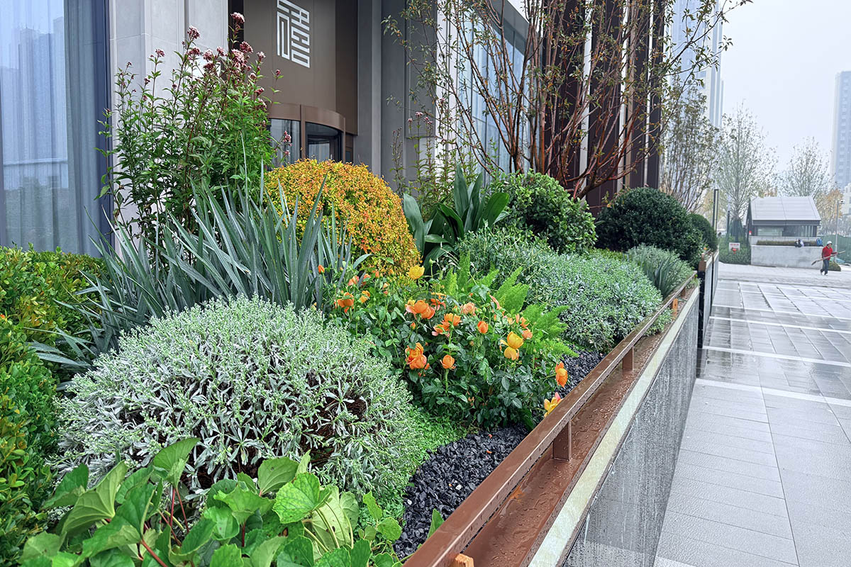 安阳泰和广场花境 - 图片 4
